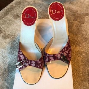 Christian Dior Cardena mules